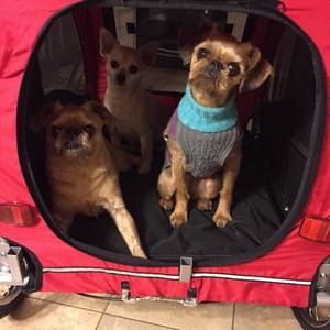 Meet your Posher, Donna